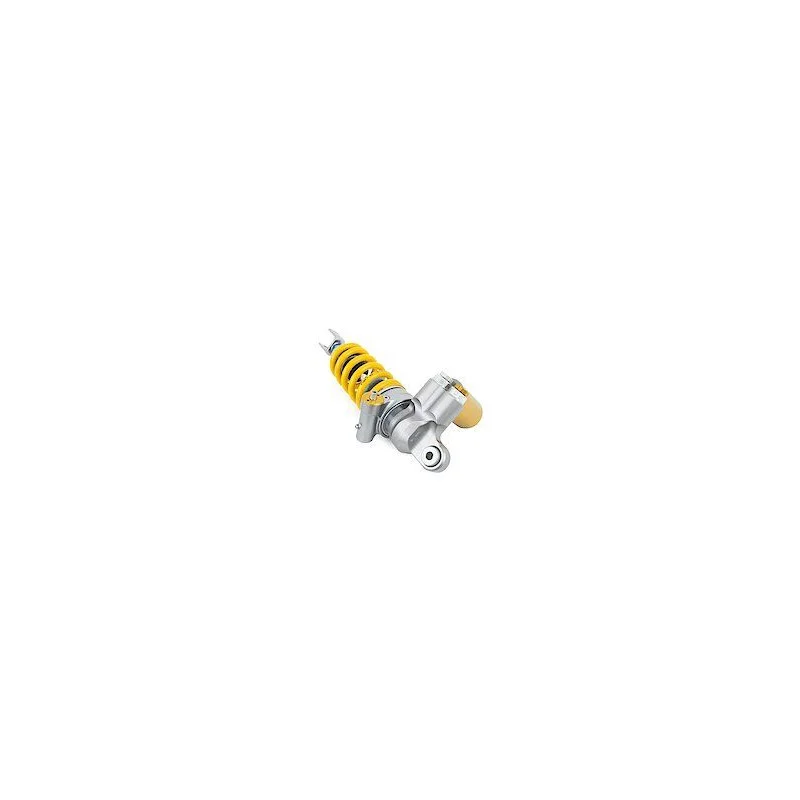 dr-rider-120260925183321462121