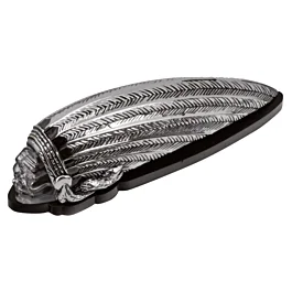 ksmotorcycles-220260925221006501421