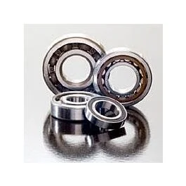 ksmotorcycles-320260925221556502458